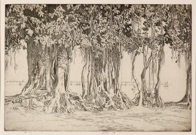 Drzewo Banyan autorstwa Ernest Stephen Lumsden