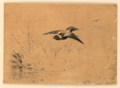 Bobolink autorstwa Ernest Thompson Seton