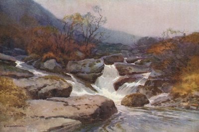Strumień Dartmoor (kolor lito) autorstwa Ernest William Haslehust