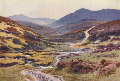 Tor Moorland, Diabelski Most (kolor lito) autorstwa Ernest William Haslehust