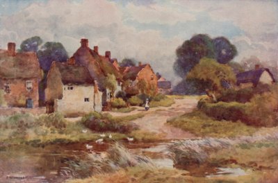 „Żebracka miotła” (kolor lito) autorstwa Ernest William Haslehust