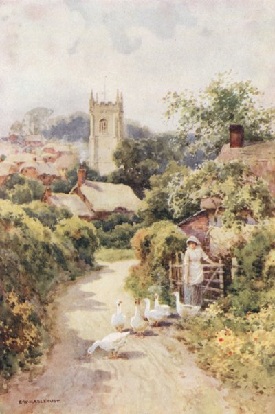 Bere Regis (kolor lito) autorstwa Ernest William Haslehust