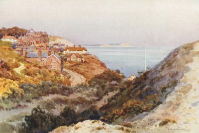 Boscombe Chine (kolor lito) autorstwa Ernest William Haslehust