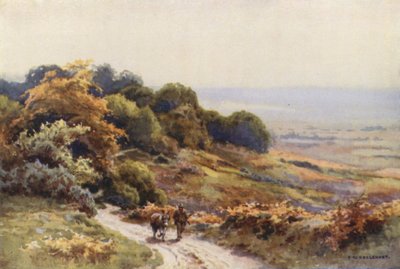 Burley Moor (kolor lito) autorstwa Ernest William Haslehust