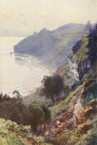 Durlston Bay, Swanage (członkowie kolorowi) autorstwa Ernest William Haslehust