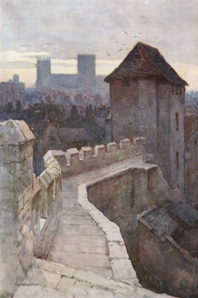 Plakat Fishergate z murów (kolor lito) autorstwa Ernest William Haslehust