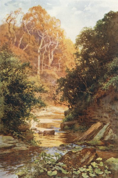 Hayburn Wyke (kolor lito) autorstwa Ernest William Haslehust