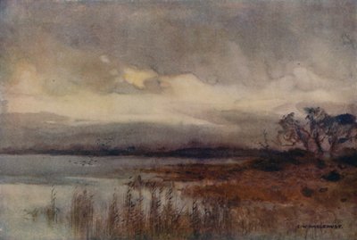 Hickling Broad (kolor lito) autorstwa Ernest William Haslehust