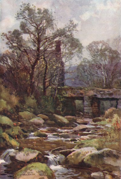 Ockery Bridge, niedaleko Princetown (kolor lito) autorstwa Ernest William Haslehust