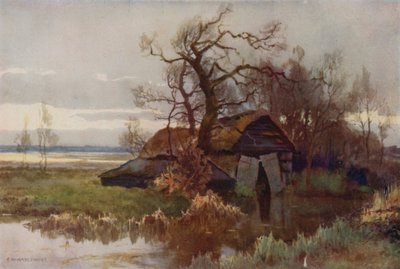 Stare łodzie, Barton Broad (kolor lito) autorstwa Ernest William Haslehust