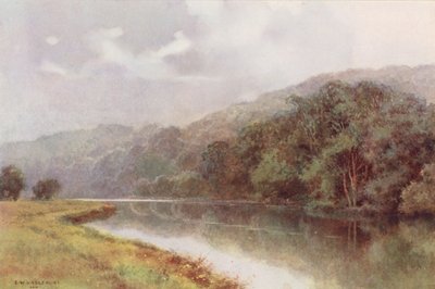 Tamiza: Cliveden Woods (kolorowa litografia) autorstwa Ernest William Haslehust