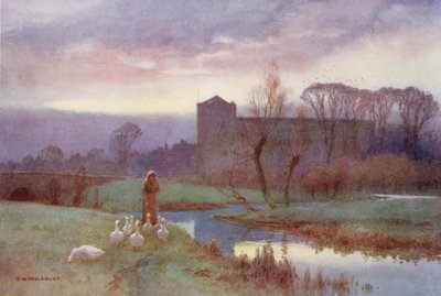 Tamiza: Dorchester (druk kolorowy) autorstwa Ernest William Haslehust