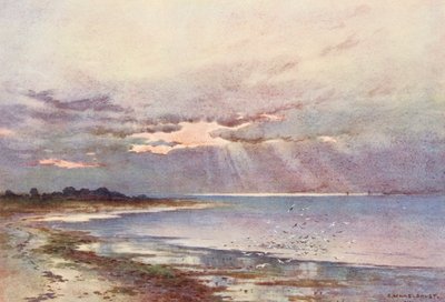 Tamiza: Patrząc na południe do Nore (kolorowa litografia) autorstwa Ernest William Haslehust