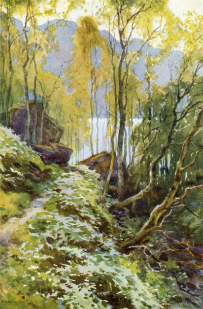 Stara Przełęcz, Trossachs (kolor lito) autorstwa Ernest William Haslehust