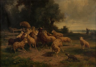 owce autorstwa Ernst Adolph Meissner