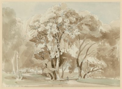 Grupa drzew w parku Villa Borghese w Rzymie autorstwa Ernst Fries