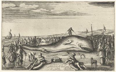 Kaszalot na plaży w Noordwijk, 1614 autorstwa Esaias van de Velde