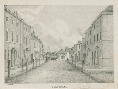 Tamworth - Cole-hill: litografia, bd [1796-1865] autorstwa Etienne Bruno Hamel