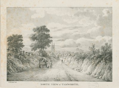 Tamworth - Daleki widok z północy: litografia, bd [1796-1865] autorstwa Etienne Bruno Hamel