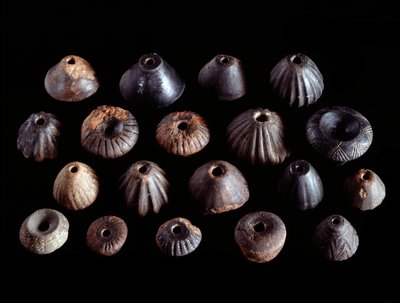 Cywilizacja etruska: terakota fusaioli z Grobowca 1 San Cerbone, Populonia - VII wiek p.n.e. autorstwa Etruscan