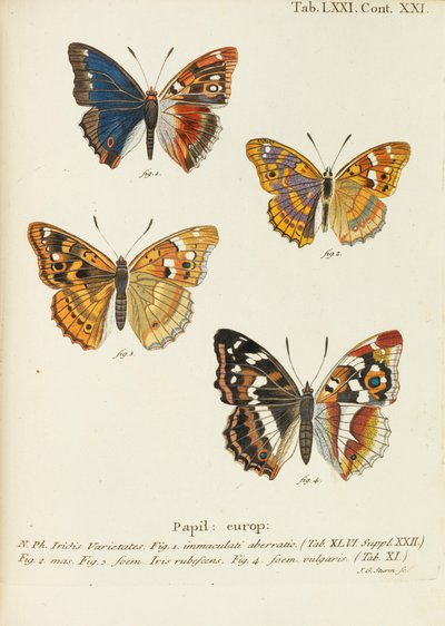 Motyle Motyle, 1777-1794. autorstwa Eugen Johann Christoph Esper