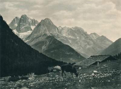 Widok grupy Brenta z pastwiskami alpejskimi, Madonna di Campiglio, Dolomity, Włochy, 1927 autorstwa Eugen Poppel