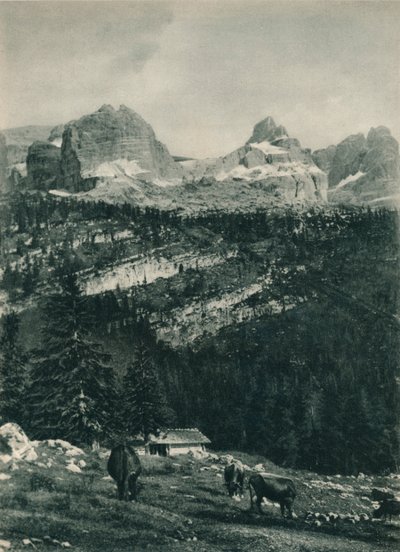 Widok grupy Brenta z pastwiskami alpejskimi, Madonna di Campiglio, Dolomity, Włochy, 1927 autorstwa Eugen Poppel