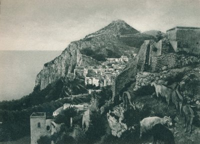 Widok na morze z Monte Solaro, Capri, Włochy, 1927 autorstwa Eugen Poppel