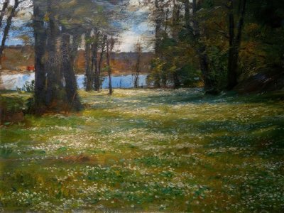 Białe zawilce autorstwa Eugen Prinz von Schweden