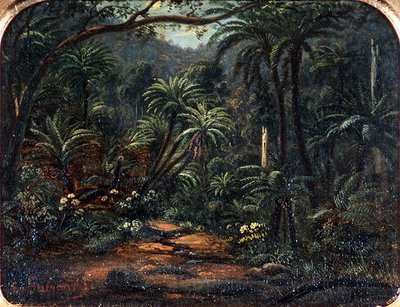 Ferntree Gully w pasmach Dandenong autorstwa Eugen von Guerard
