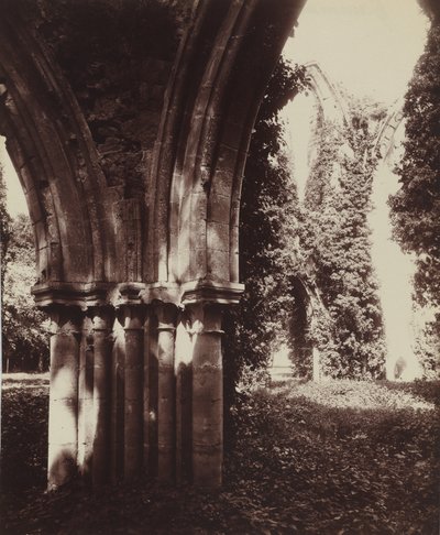 Dammarie-les-Lys, ruiny, 1910 (zdjęcie) autorstwa Eugène Atget