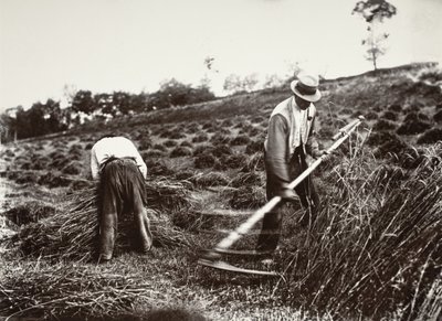 Faucheurs, Somme autorstwa Eugène Atget