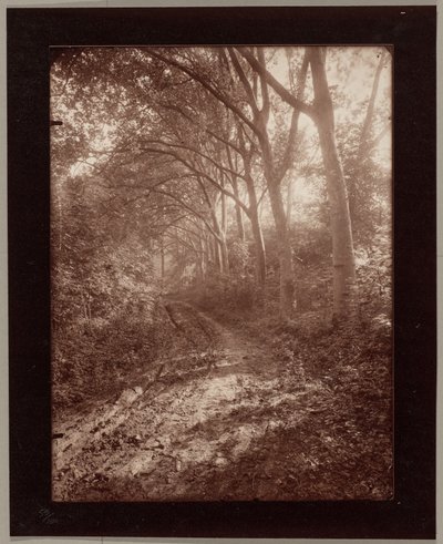  autorstwa Eugène Atget