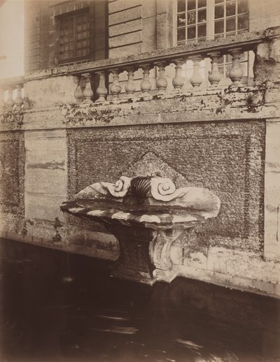 Parc de Sceaux, ok. 1857-1927 (zdjęcie) autorstwa Eugène Atget