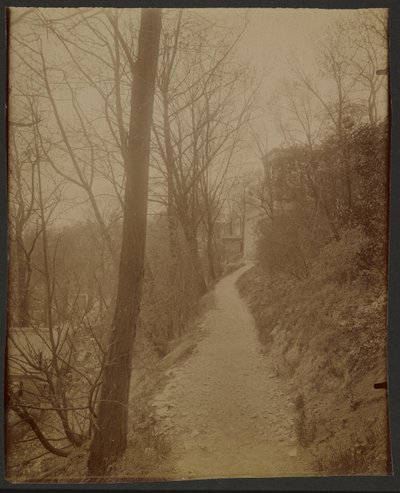 Père Lachaise, Kozia ścieżka autorstwa Eugène Atget