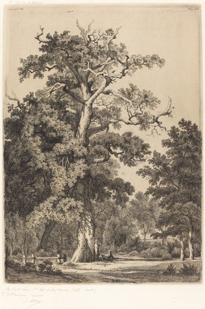 Starożytny dąb w Bois de Boulogne autorstwa Eugene Bléry