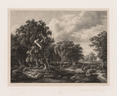Grupy różnych roślin rysowanych po naturze: nr 7, 1855. autorstwa Eugene Bléry