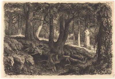 Drzewo z korzeniami, opublikowane w 1849 r. autorstwa Eugene Bléry