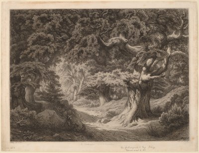 Las Karola Wielkiego w Fontainebleau, 1861. autorstwa Eugene Bléry