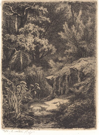 Le petit ruisseau Mały strumyk, opublikowany w 1849 r. autorstwa Eugene Bléry