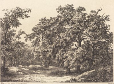 Dęby autorstwa Eugene Bléry