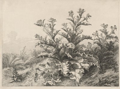 Wielki Oset (Le Grand Chardon) autorstwa Eugene Bléry