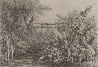 Staw, 1857. autorstwa Eugene Bléry