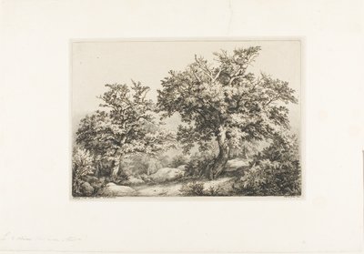Dwa dęby, Fontainebleau autorstwa Eugene Bléry