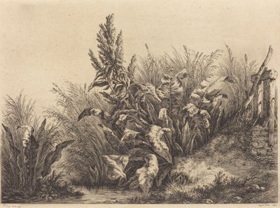 Przystań wodna, 1840 r. autorstwa Eugene Bléry
