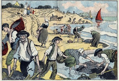 Mieszkańcy wybrzeża Thouais zbierają małże. Kernevel, Finistere (29), Bretania. Ilustracja Damblans. W „Le Pelerin” z 31 sierpnia autorstwa Eugene Damblans