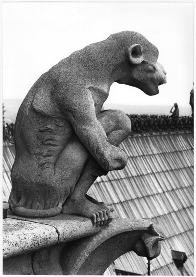 Małpi gargulec, z balustrady Grande Galerie fasady zachodniej, replika oryginału z XII wieku (kamień) (zdjęcie czarno-białe) autorstwa Eugene Emmanuel Viollet le Duc