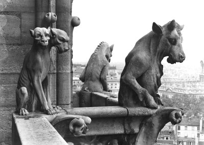 Dwa rzygacze z balustrady Grande Galerie fasady zachodniej, replika oryginału z XII wieku (kamień) (zdjęcie czarno-białe) autorstwa Eugene Emmanuel Viollet le Duc