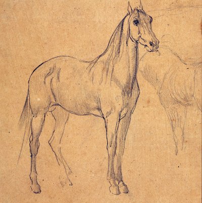 Studium konia autorstwa Eugène Fromentin