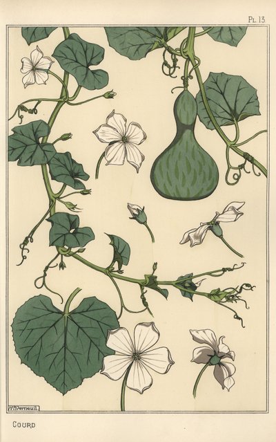 Ilustracja botaniczna tykwy autorstwa Eugene Grasset